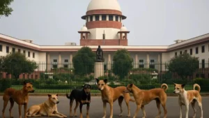 Supreme Court का बड़ा फैसला: अब सड़कों पर नहीं दिखेंगे आवारा कुत्ते, 8 हफ्तों में कार्रवाई का आदेश