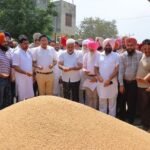 Punjab News: खाद्य एवं नागरिक आपूर्ति मंत्री लाल चंद कटारूचक्क ने भगतांवाला अनाज मंडी में चल रही गेहूं खरीद का लिया जायजा